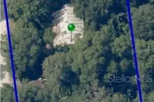 2144 Lisa Dare Dr, Leesburg, FL 34748 - Photo 3