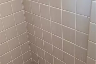 126 E Cypress Ave, Howey in the Hills, FL 34737 - Photo 29