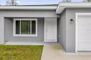 11 Malauka Ln Dr, Ocklawaha, FL 32179 - Photo 3