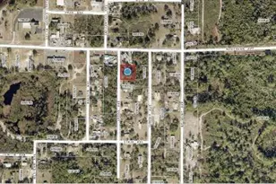 33702 Verda Ave, Leesburg, FL 34788 - Photo 3