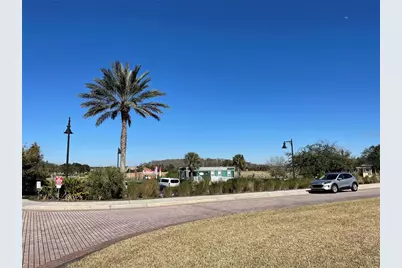 13321 Camborne Place, Orlando, FL 32832 - Photo 73