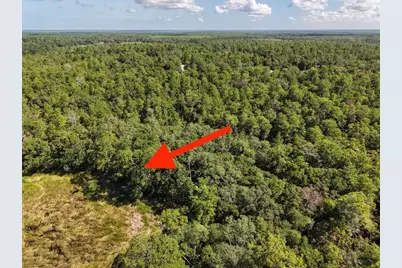 229 Arkansas Street, Satsuma, FL 32189 - Photo 5