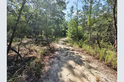 229 Arkansas Street, Satsuma, FL 32189 - Photo 13