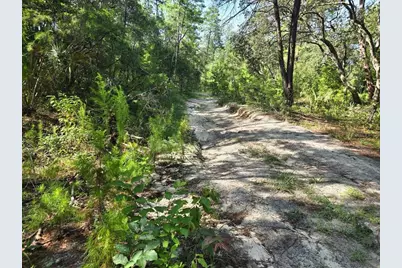 229 Arkansas Street, Satsuma, FL 32189 - Photo 11