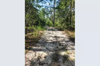 229 Arkansas Street, Satsuma, FL 32189 - Photo 17