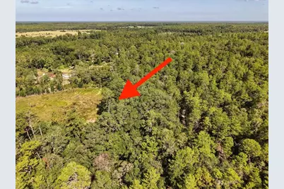 229 Arkansas Street, Satsuma, FL 32189 - Photo 7