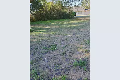 Wedgewood Cir, Mount Dora, FL 32757 - Photo 3