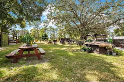 32708 Gere Lane, Sorrento, FL 32776 - Photo 5