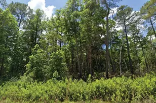 101 & 103 Longhorn Ln, Florahome, FL 32140 - Photo 1