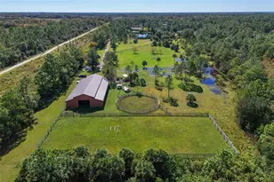 3230 Pheasant Trail, Mims, FL 32754 - Photo 67