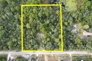 31615 Pinecrest Rd, Eustis, FL 32736 - Photo 1