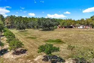 527 Sunnyside Dr, Leesburg, FL 34748 - Photo 89