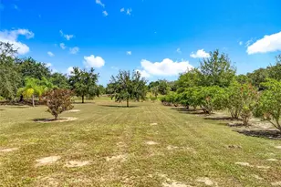 527 Sunnyside Dr, Leesburg, FL 34748 - Photo 87