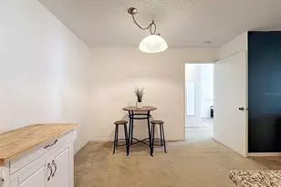 10265 Gandy Blvd N, Saint Petersburg, FL 33702 - Photo 17