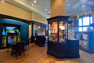 7505 Mourning Dove, Kissimmee, FL 34747 - Photo 23