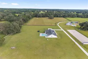 15224 NW 56th Court Rd, Reddick, FL 32686 - Photo 5