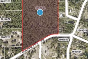 Fishermans Rd, Paisley, FL 32767 - Photo 1