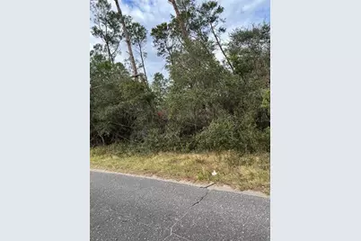 Fishermans Road, Paisley, FL 32767 - Photo 3