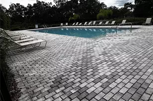 35576 Shade Fern Ln, Zephyrhills, FL 33541 - Photo 13