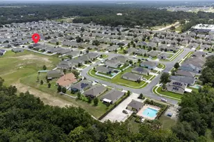 1361 Aroniminik Dr, Mount Dora, FL 32757 - Photo 11