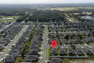 1361 Aroniminik Dr, Mount Dora, FL 32757 - Photo 7