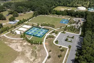 1361 Aroniminik Dr, Mount Dora, FL 32757 - Photo 17