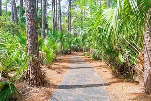 14 Heron Dr, Palm Coast, FL 32137 - Photo 53