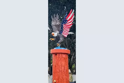 Pine Island Drive, Leesburg, FL 34788 - Photo 7