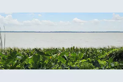 Pine Island Drive, Leesburg, FL 34788 - Photo 5