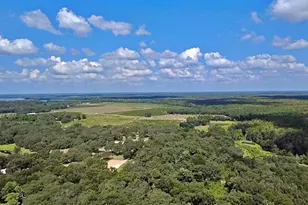 2575 Place Pond Rd, De Leon Springs, FL 32130 - Photo 63