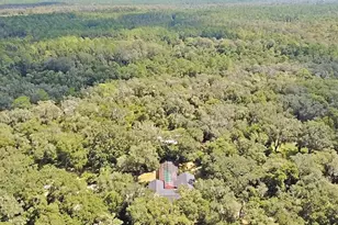 2575 Place Pond Rd, De Leon Springs, FL 32130 - Photo 59