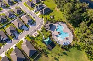 2596 Penguin Blvd, Davenport, FL 33837 - Photo 31