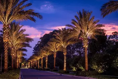 14501 Grove Resort Avenue #1440, Winter Garden, FL 34787 - Photo 45