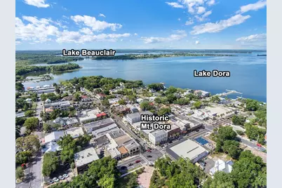 610 S Highland Street, Mount Dora, FL 32757 - Photo 9