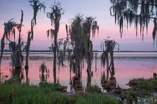 10339 Kensington Shore Dr, Orlando, FL 32827 - Photo 49