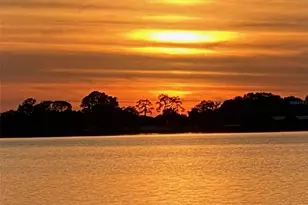 7051 Sadler Rd, Mount Dora, FL 32757 - Photo 59