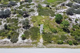 2253 W Shula Rd, Avon Park, FL 33825 - Photo 7