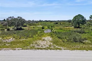 2253 W Shula Rd, Avon Park, FL 33825 - Photo 3