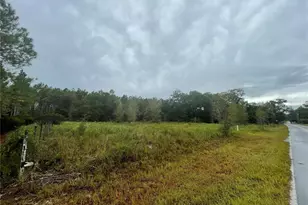 680 School St, Bronson, FL 32621 - Photo 1