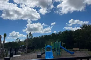 3335 Composition St, Kissimmee, FL 34758 - Photo 21