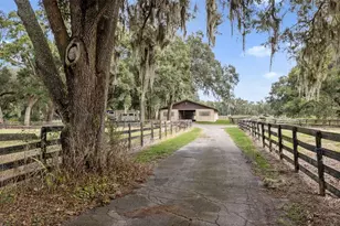 551 NE 200th Ave, Williston, FL 32696 - Photo 17