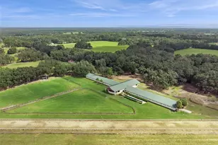 551 NE 200th Ave, Williston, FL 32696 - Photo 3