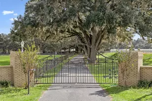 551 NE 200th Ave, Williston, FL 32696 - Photo 3