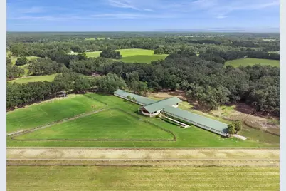 551 NE 200 Avenue, Williston, FL 32696 - Photo 7