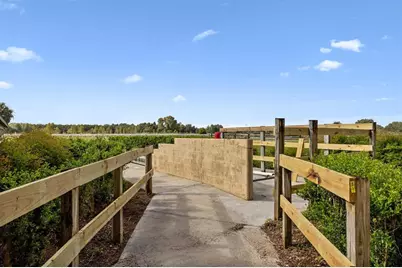 551 NE 200 Avenue, Williston, FL 32696 - Photo 13