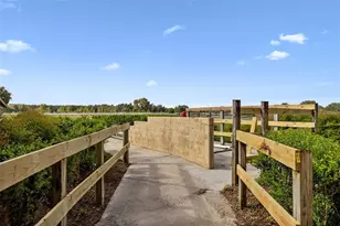 551 NE 200th Ave, Williston, FL 32696 - Photo 13