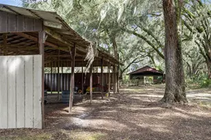 551 NE 200th Ave, Williston, FL 32696 - Photo 27