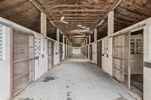 551 NE 200th Ave, Williston, FL 32696 - Photo 19