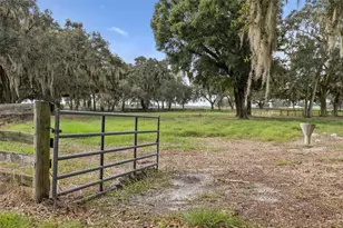 551 NE 200th Ave, Williston, FL 32696 - Photo 21
