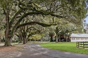 551 NE 200th Ave, Williston, FL 32696 - Photo 23